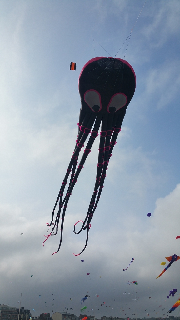20160918_114934.jpg - 14