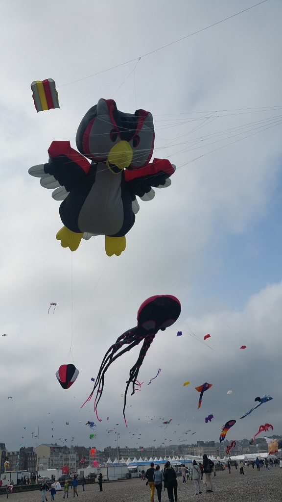 20160918_115123.jpg - 16