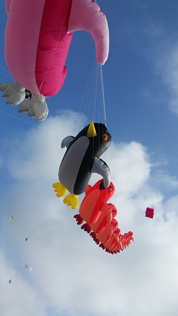 20160918_162619.jpg - 34