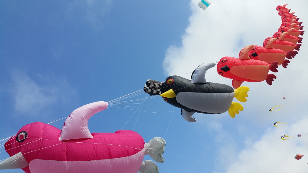 20160918_162625.jpg - 35