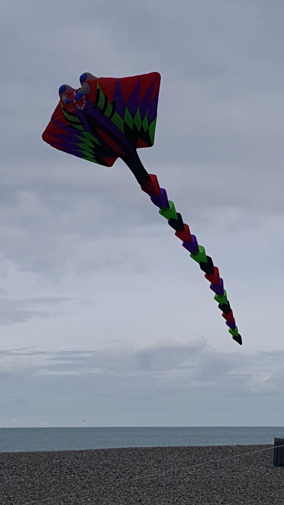 20180908_121022.jpg