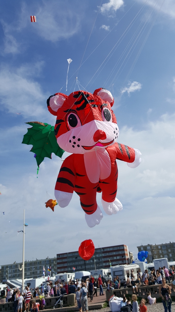 20180909_154542.jpg