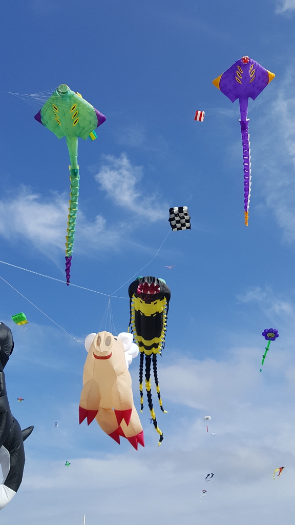 20180909_165213.jpg - IICSA