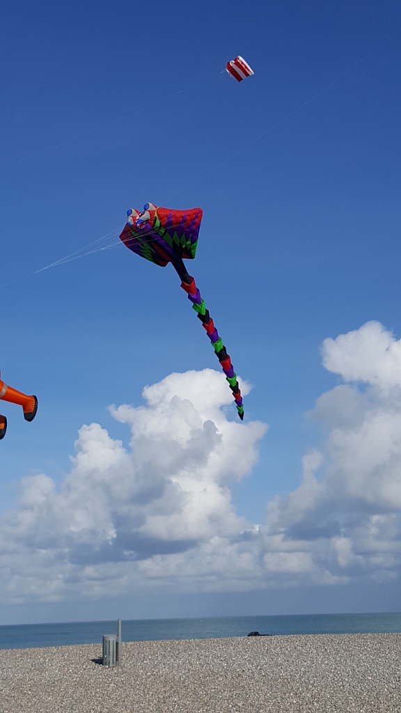 20180915_102113_001.jpg - IICSA