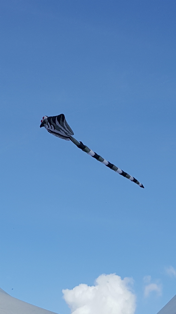 20180915_105829.jpg