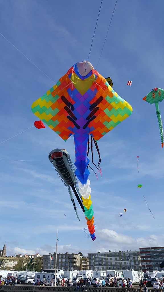20180915_155956.jpg
