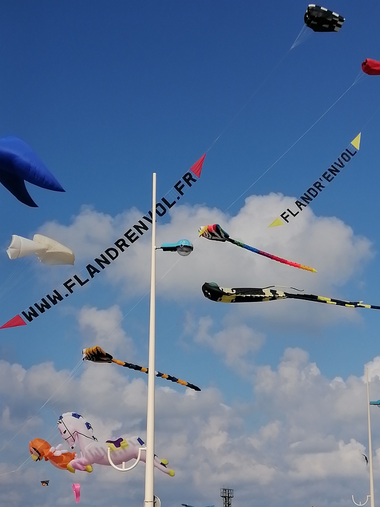 IMG_20220910_160836.jpg