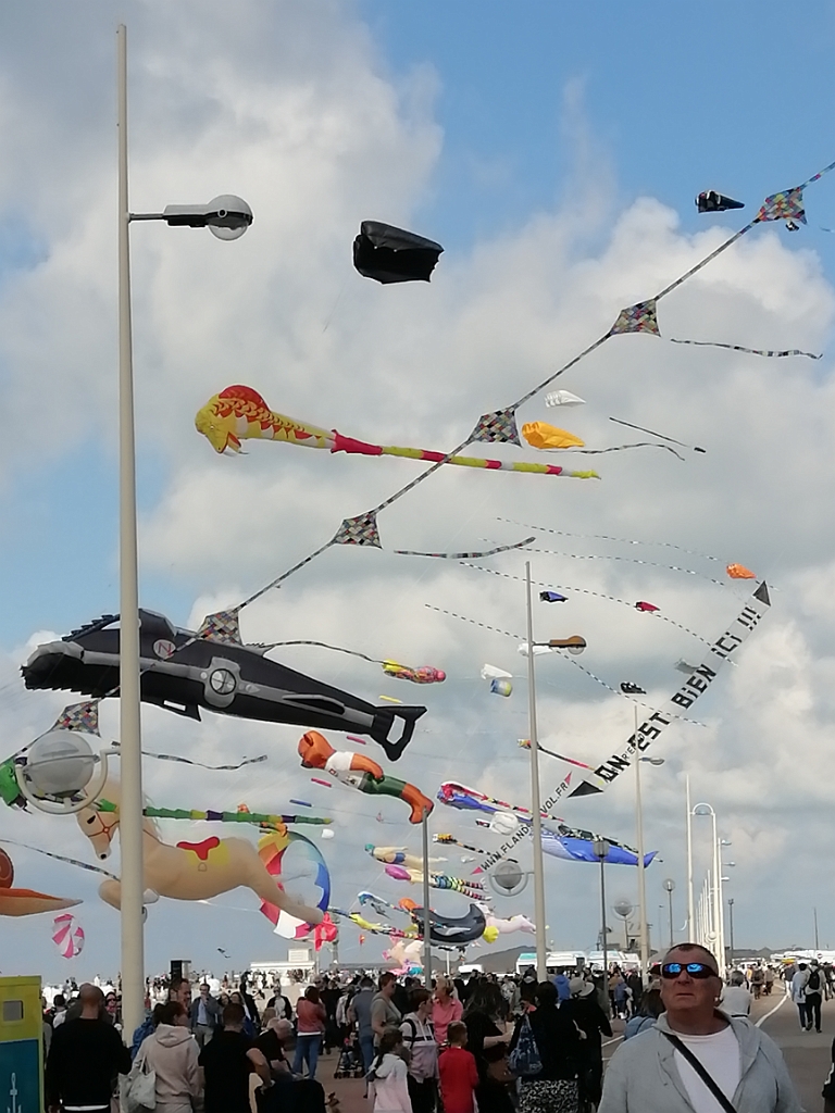 IMG_20220910_163616.jpg