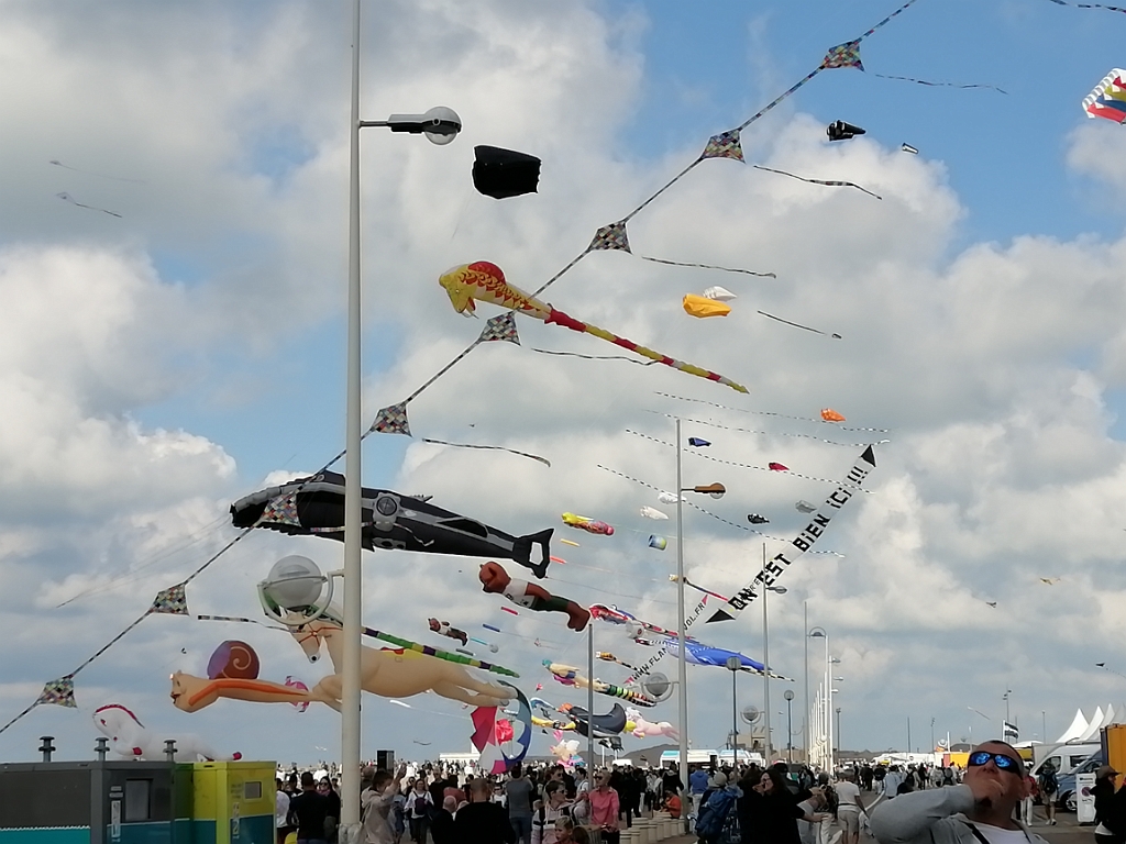 IMG_20220910_163622.jpg