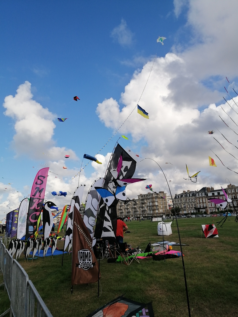 IMG_20220910_170618.jpg
