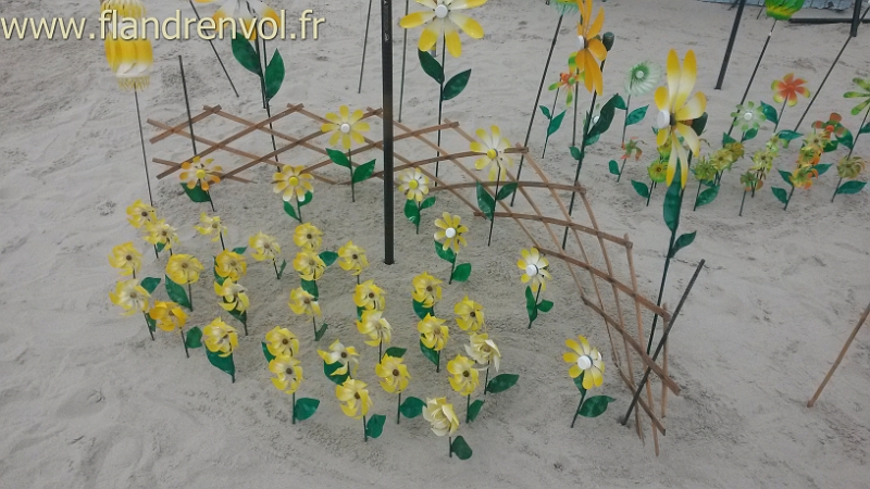 20160411_120401-BorderMaker.jpg