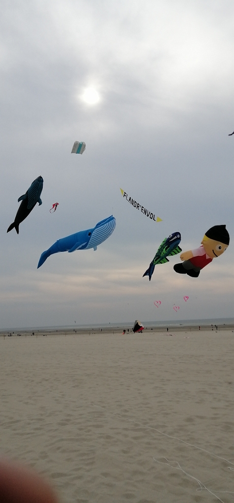 IMG_20220428_173435.jpg