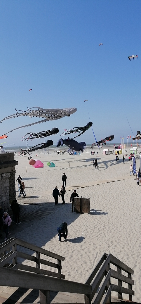IMG_20220429_164237.jpg