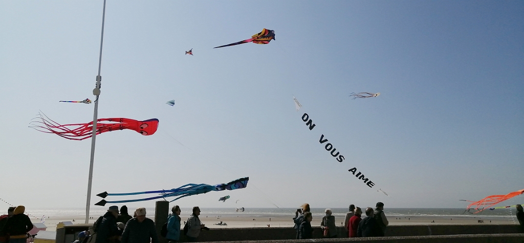 IMG_20220429_164248.jpg