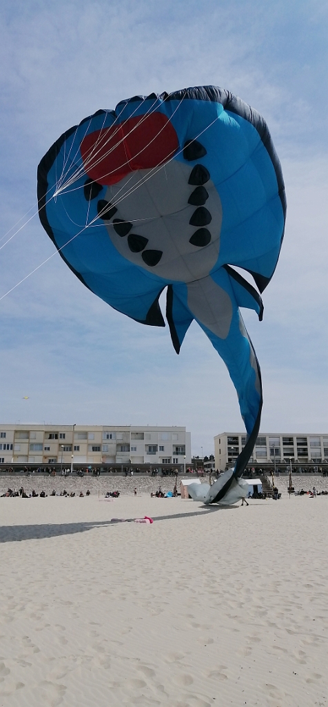IMG_20220501_142851.jpg