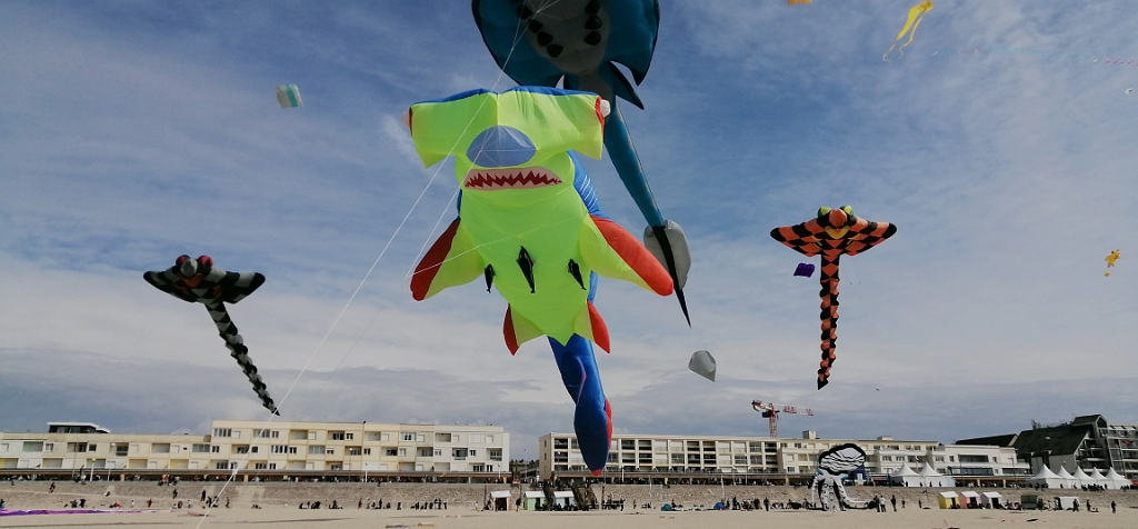 IMG_20220501_161201.jpg