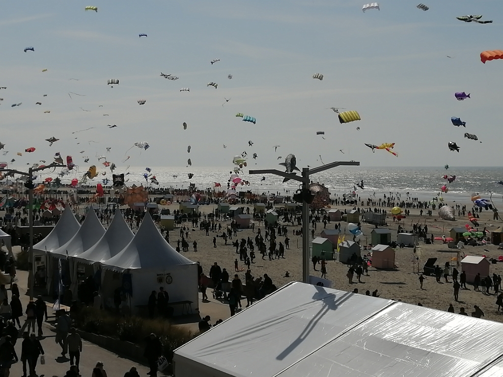 IMG_20250413_154500.jpg