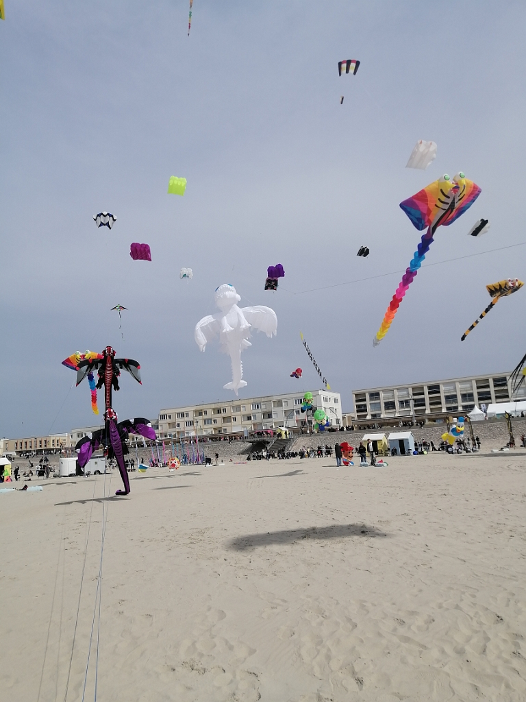 IMG_20250416_153332.jpg