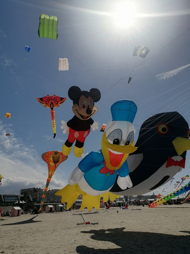 IMG_20250417_142839.jpg