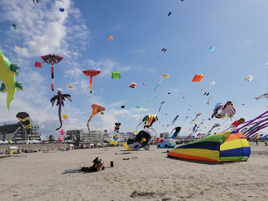 IMG_20250417_161148.jpg
