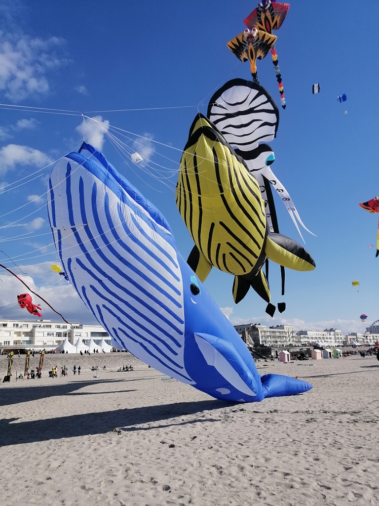 IMG_20250417_173153.jpg