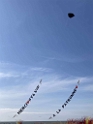 494689618_1488852642153099_1909786951586693018_n