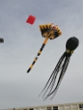 IMG_20250416_153011