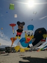 IMG_20250417_142839