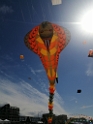 IMG_20250417_144143