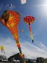 IMG_20250417_144155