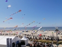 IMG_20250417_145329