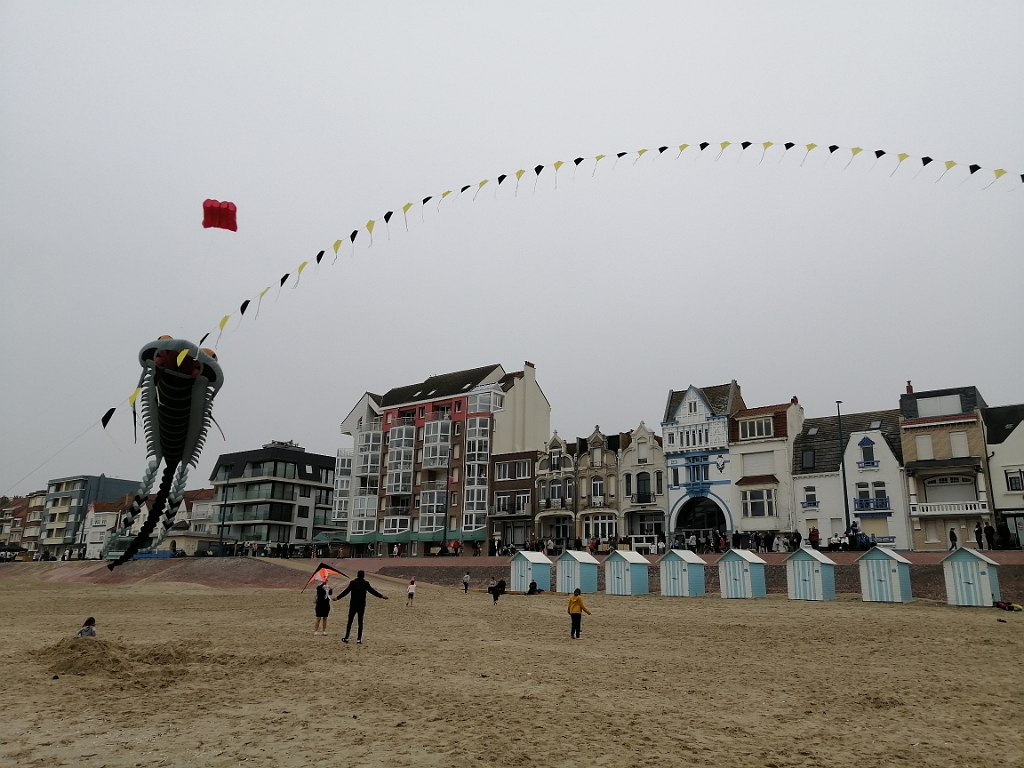 IMG_20220605_155619.jpg