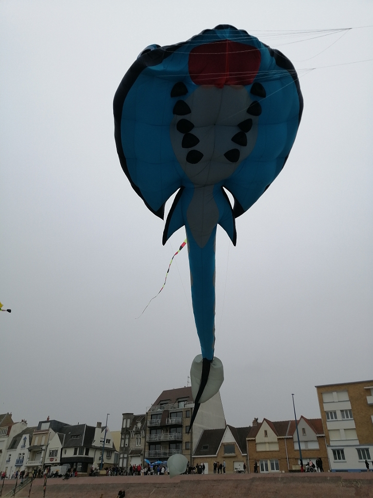 IMG_20220605_155723.jpg