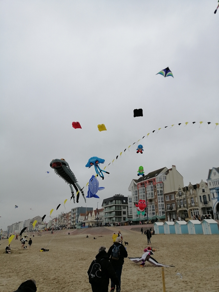 IMG_20220605_164819.jpg