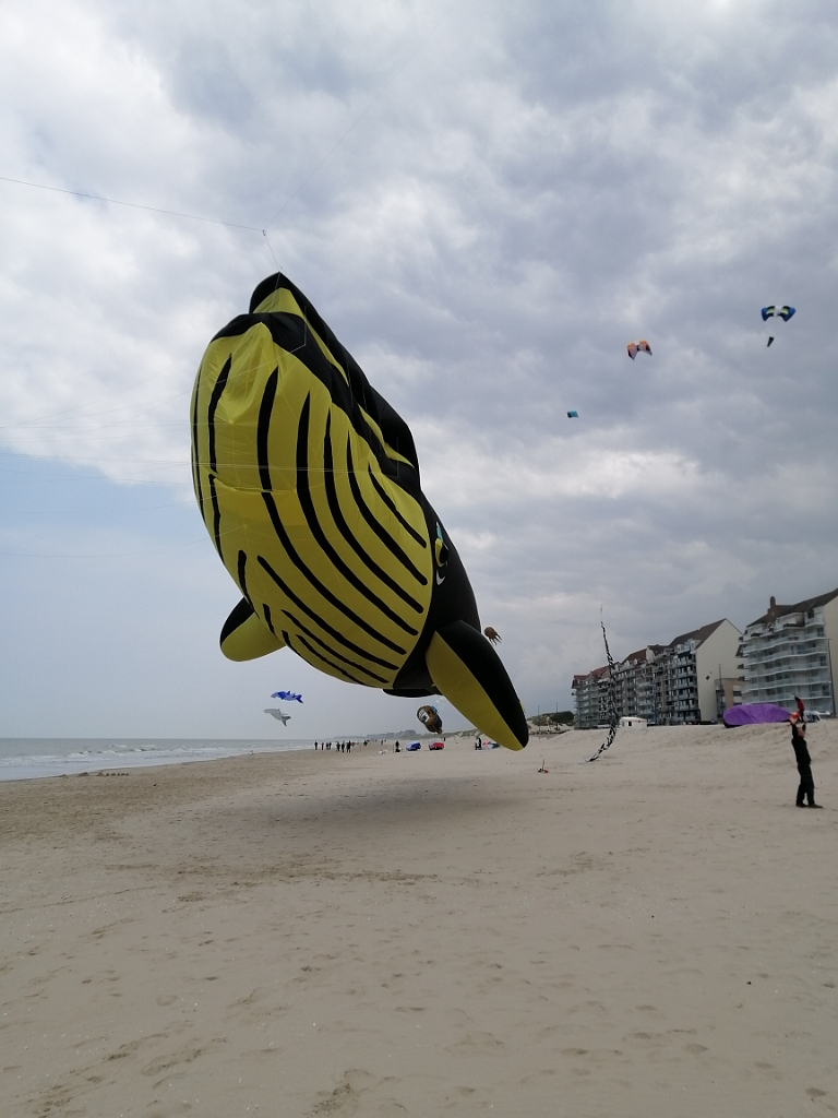 IMG_20250609_123006.jpg