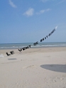 IMG_20250609_111332