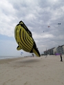 IMG_20250609_123006