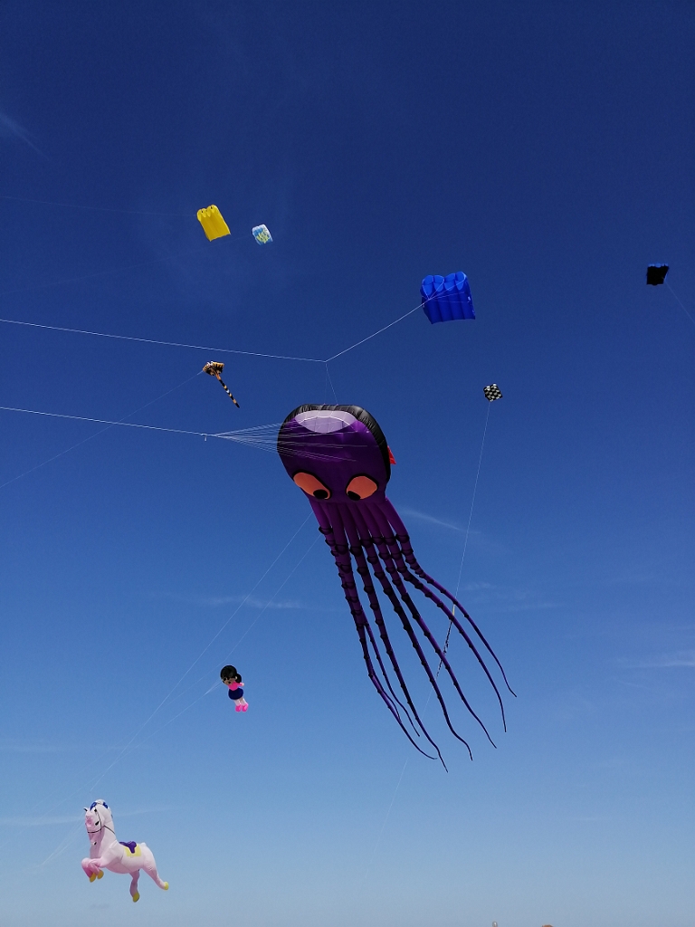 IMG_20220611_165332.jpg