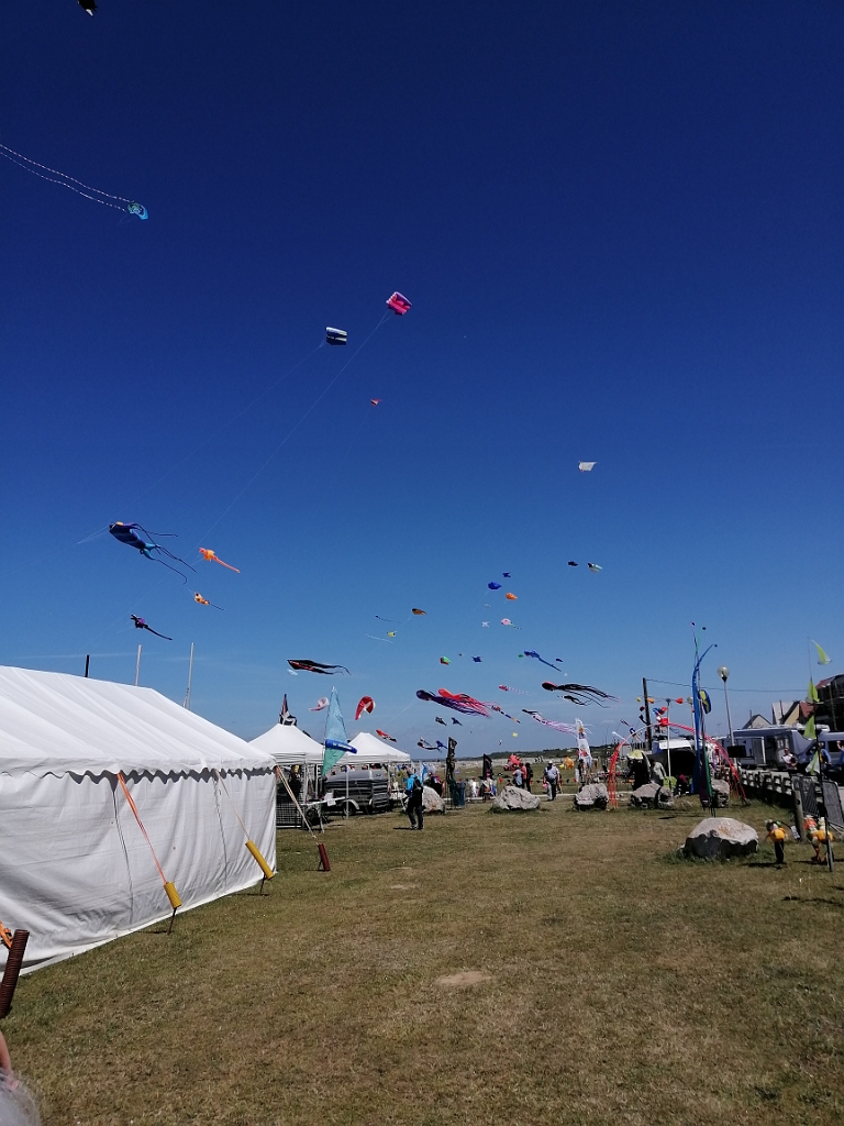 IMG_20220612_134934.jpg