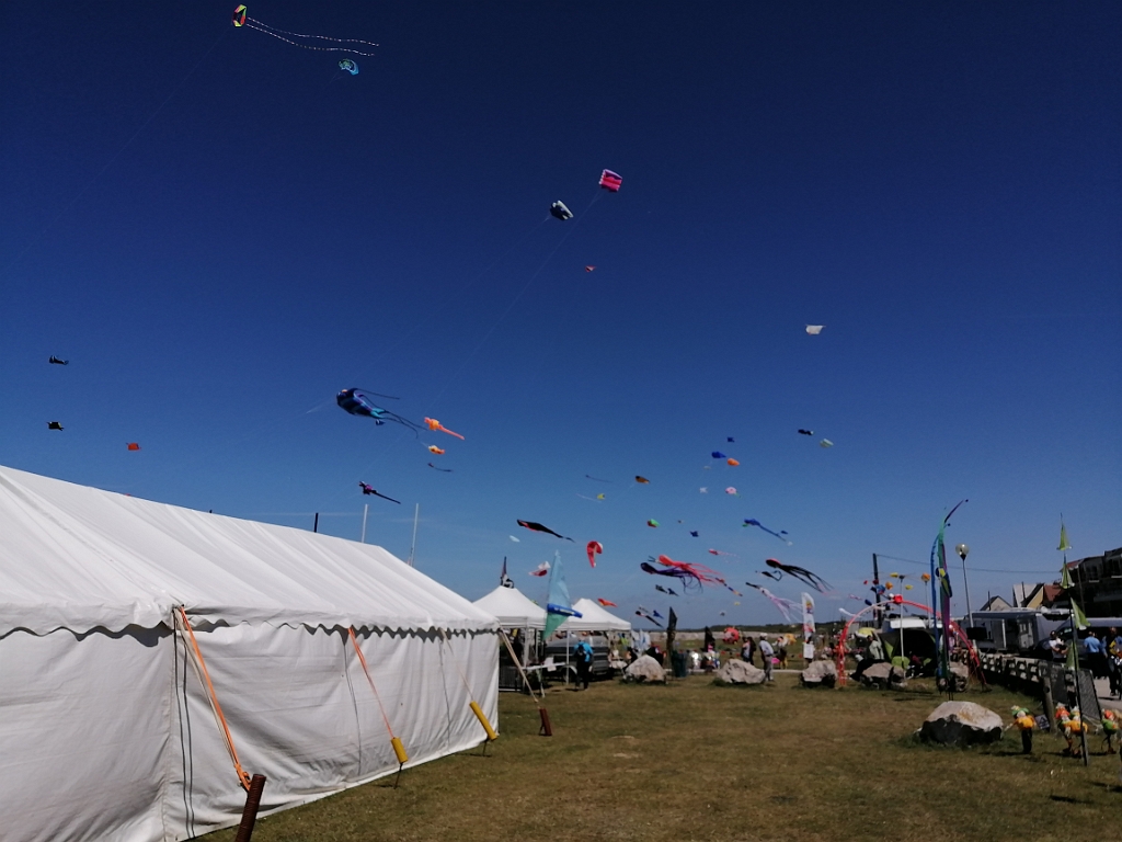 IMG_20220612_134939.jpg