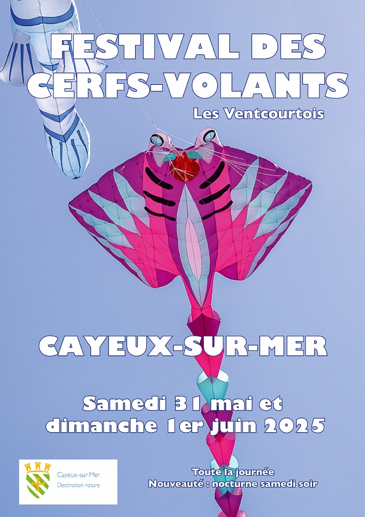 Affiche-verfs-volants.jpg
