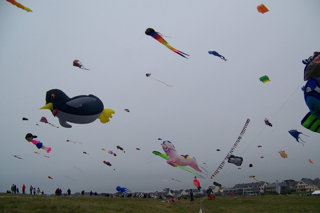 100_5923.JPG