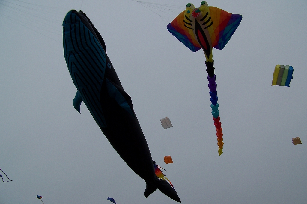 100_5929.JPG