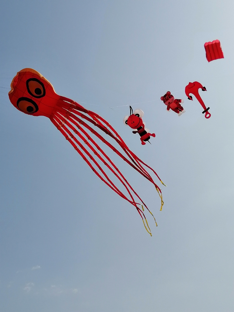 IMG_20210720_164906.jpg