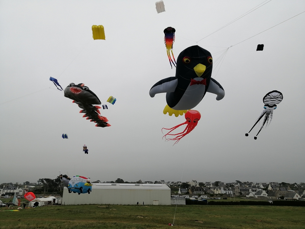IMG_20210724_143149.jpg