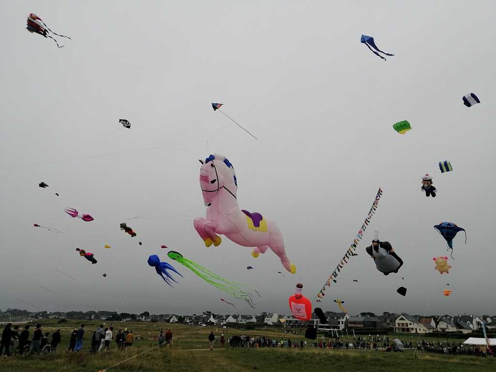 IMG_20210724_154251.jpg