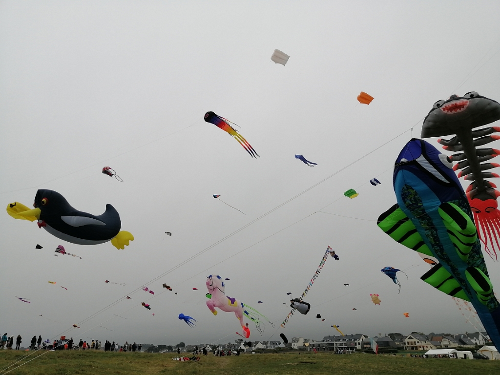 IMG_20210724_154627.jpg