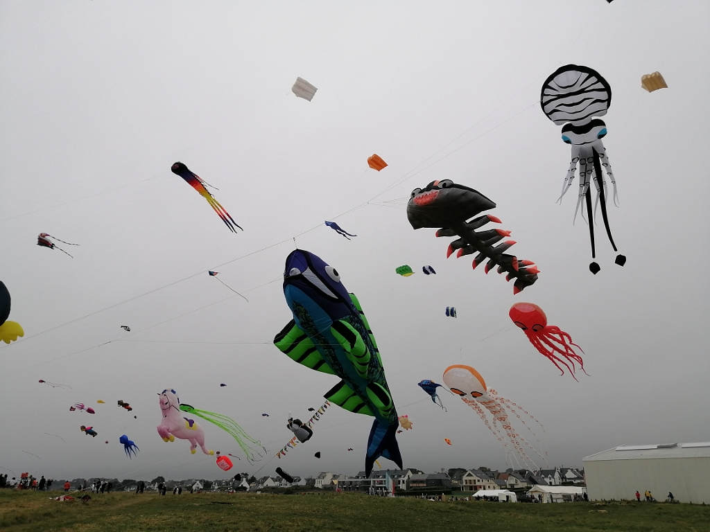 IMG_20210724_154649.jpg