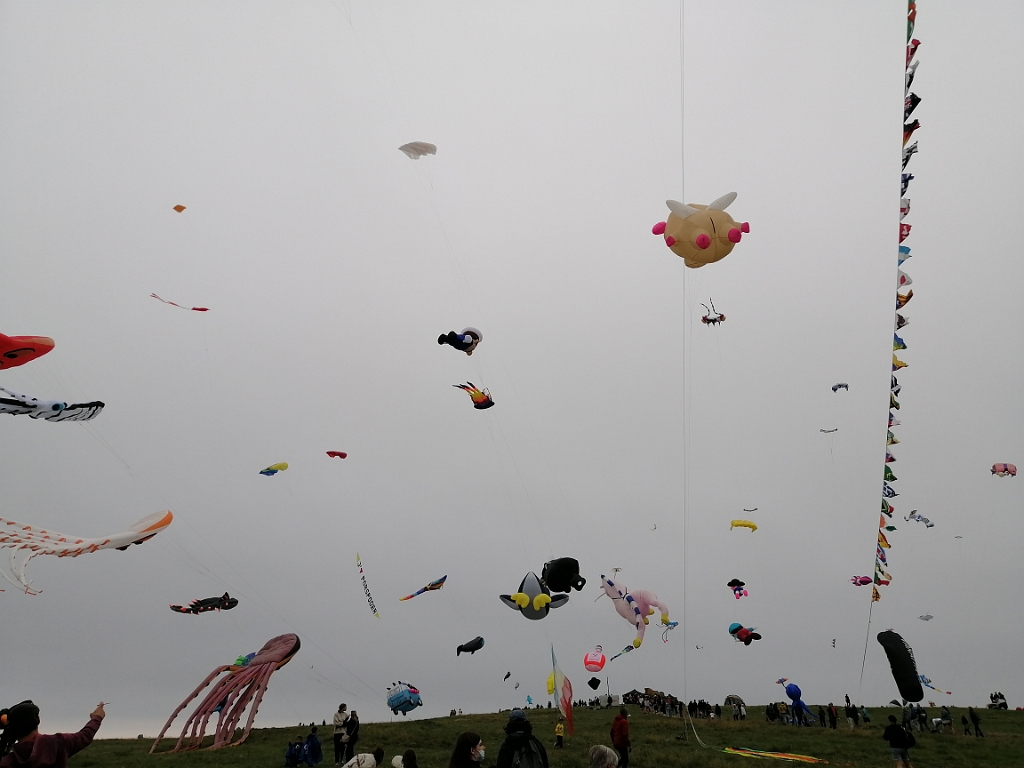 IMG_20210724_165418.jpg