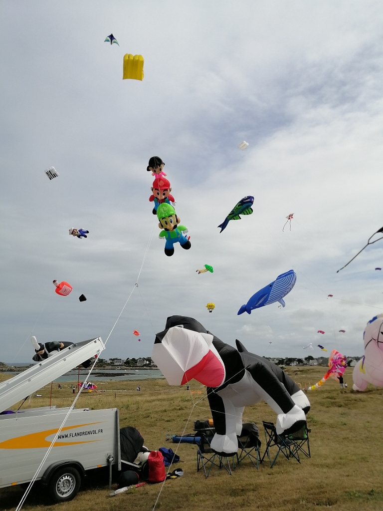 IMG_20220723_120339.jpg